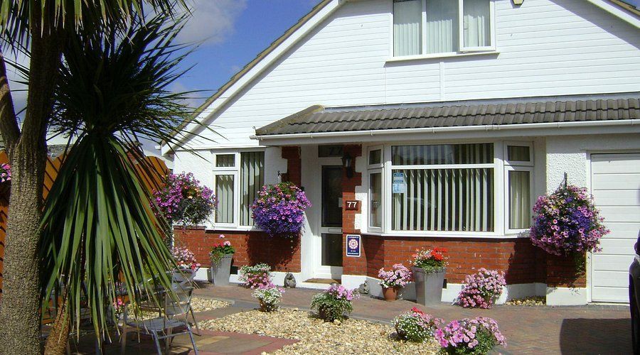 Summer Garden View - Sunny Day