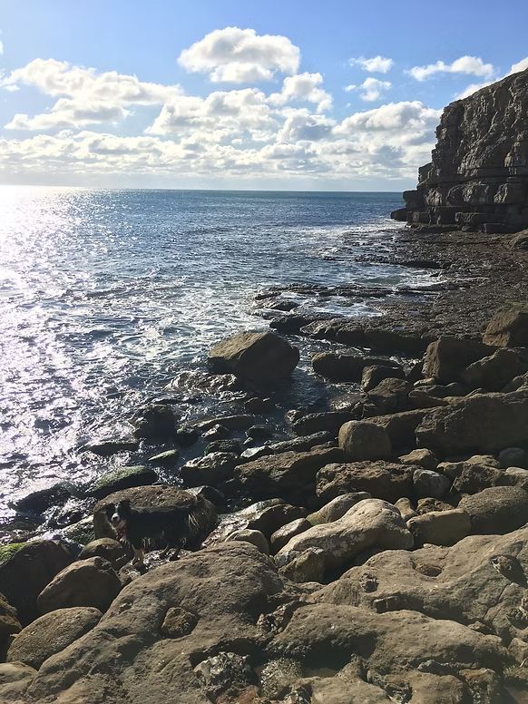 Stunning Dorset Coastal Rocks